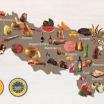 Quello scrigno di biodiversità, gusto ed enogastronomia, ecco cosa offre, in autunno,  la più grande Food Valley al mondo chiamata Emilia Romagna
