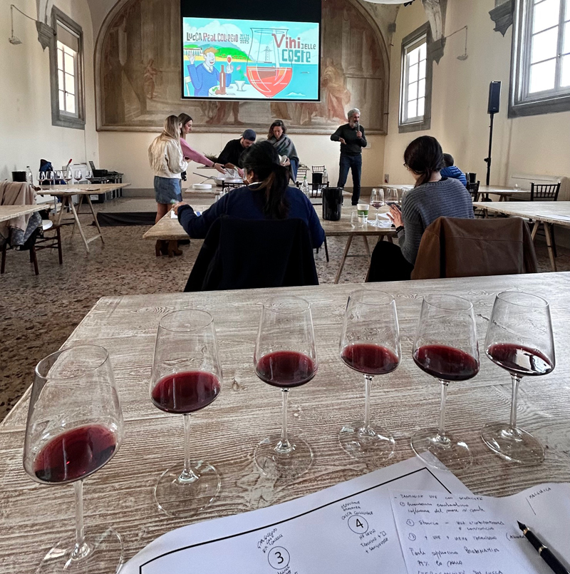 Vini-delle-Coste-2025-masterclass