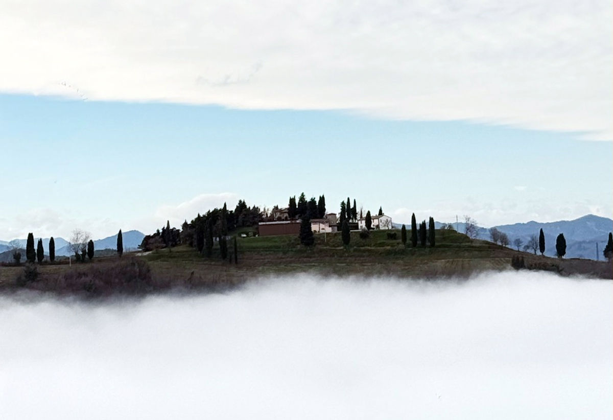 dai-rinati-ronchi-di-castelluccio
