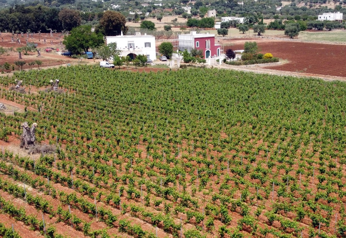 Sulle-tracce-del-Francavilla