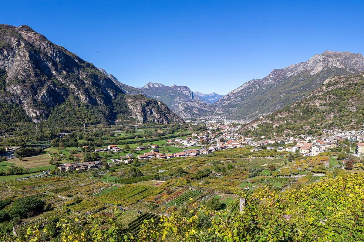 Quel-Nebbiolo-di-Carema