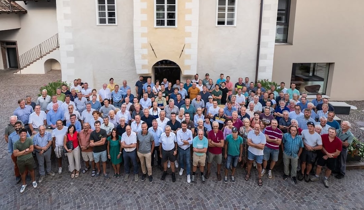 Quella-monografia-del-sottobosco