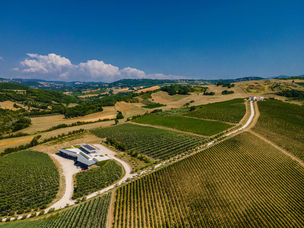 L-idea-di-fonzone-caccese