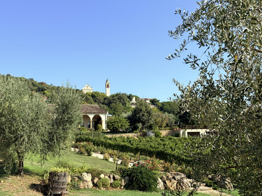 La-Cantina-Pegoraro-docet-cantina